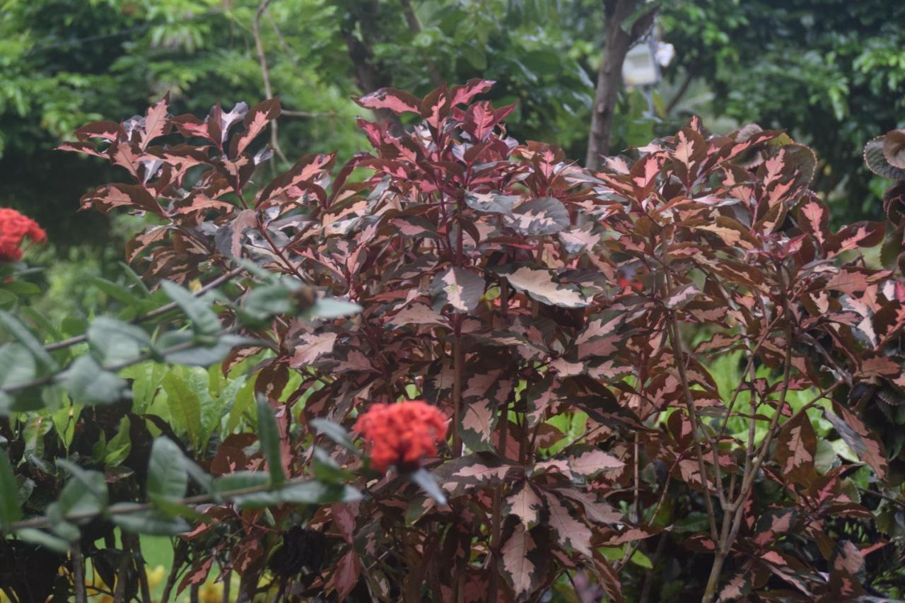 异域广场酒店 Lakshmanpur 外观 照片