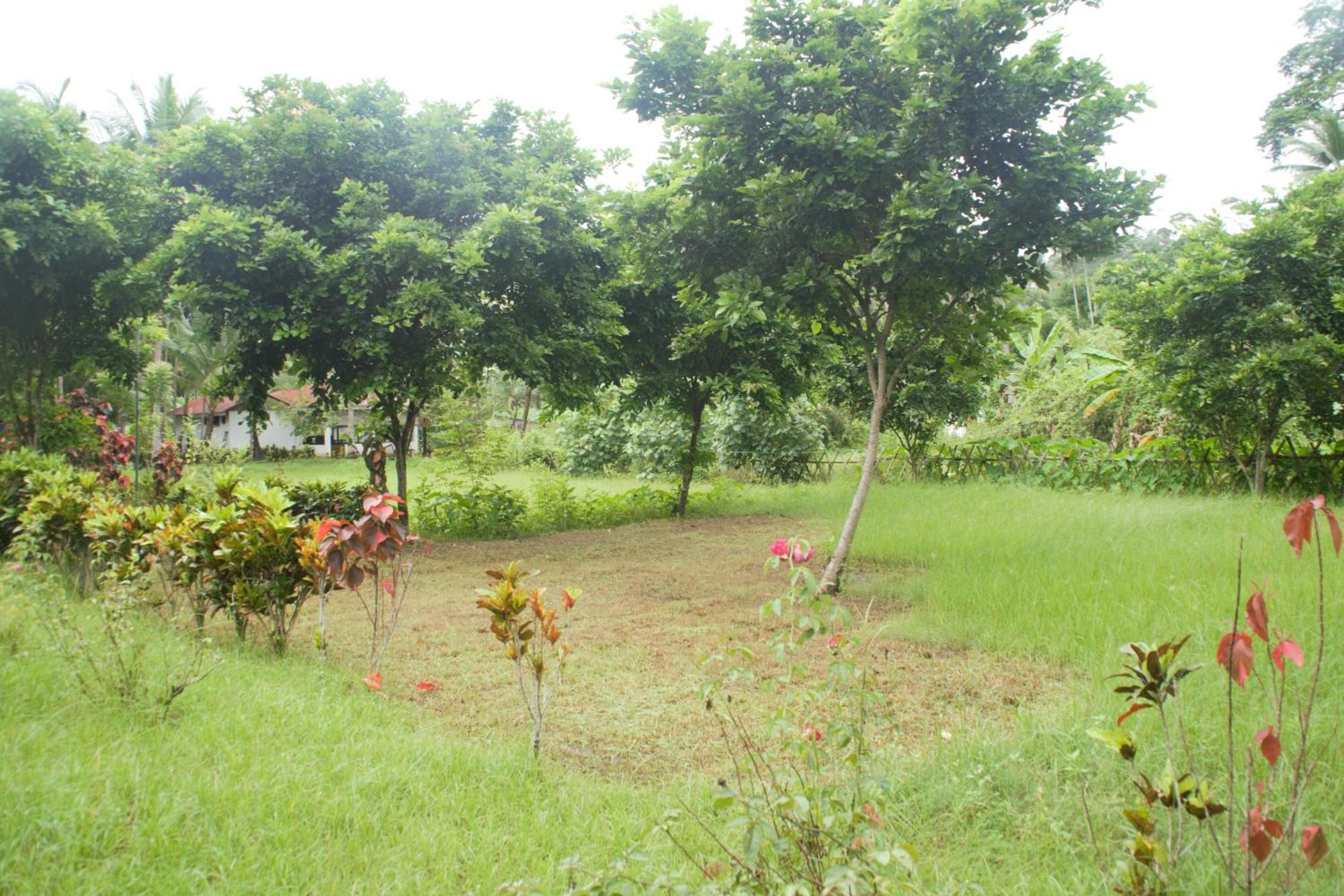 异域广场酒店 Lakshmanpur 外观 照片
